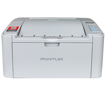 奔图/Pantum P2508 激光打印机